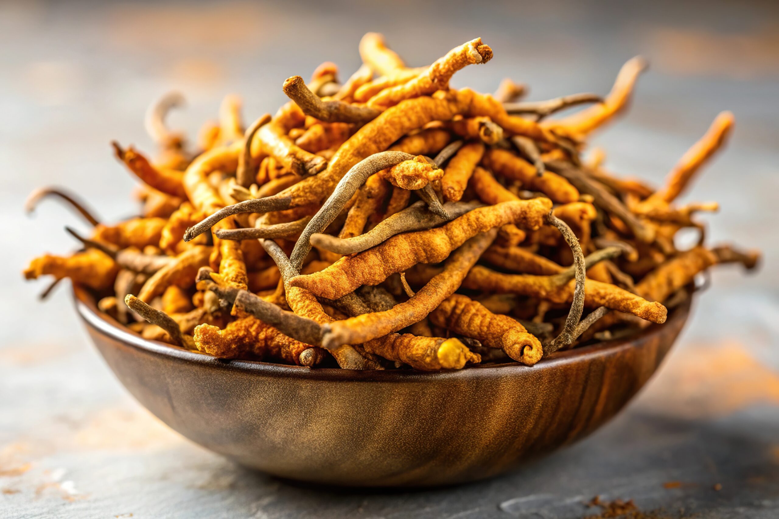 Chinesischer Raupenpilz Cordyceps sinensis 1 scaled